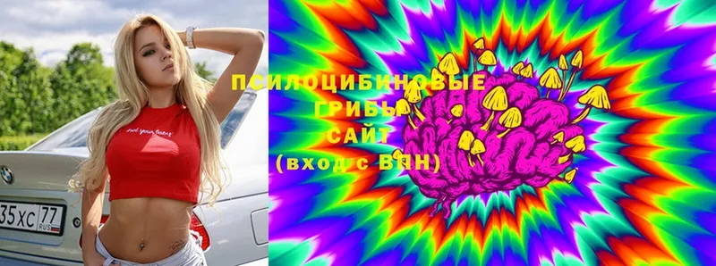 Галлюциногенные грибы Psilocybe  omg вход  Агидель  купить наркотик 